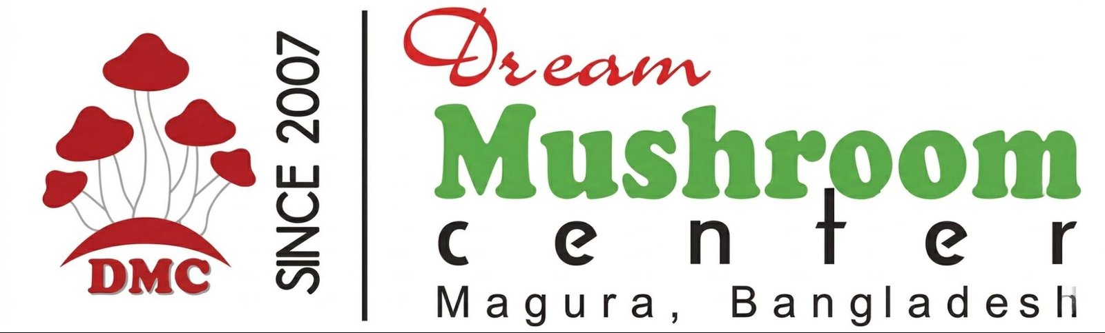 dmcneuro.com